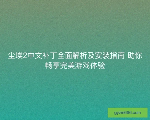 尘埃2中文补丁全面解析及安装指南 助你畅享完美游戏体验